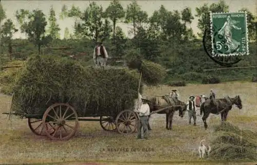 Ak Landwirtschaft, Heuernte, Bauern, Pferde