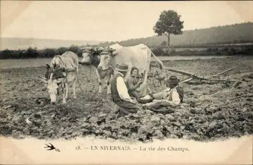 Ak Landwirtschaft, Pflug, Rinder, Bauern, Rast