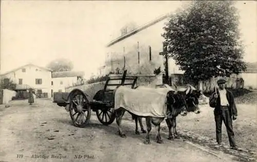 Ak Baskenland, Fuhrwerk, Rinder, Bauer