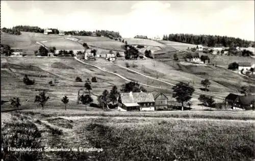 Ak Schellerhau Altenberg im Erzgebirge, Teilansicht