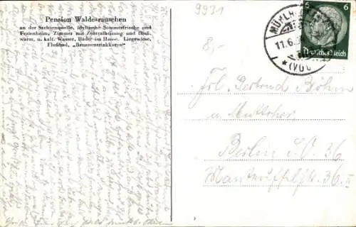 Ak Sohl Bad Elster im Vogtland, Pension Waldesrauschen