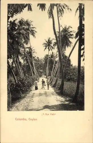 Ak Colombo Ceylon Sri Lanka, Palmenallee