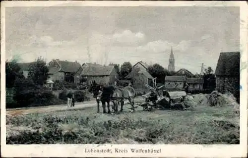 Ak Lebenstedt Salzgitter, Teilansicht, Mähmaschine mit Zugpferden, Gartenwirtschaft Wilhelm Wolf