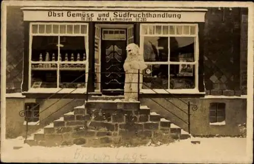 Foto Ak Braunlage im Harz, Obst-, Gemüse- und Südfruchthandlung, Winter, Person im Eisbärkostüm