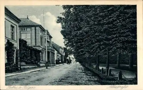 Ak Putbus auf der Insel Rügen, Alleestraße