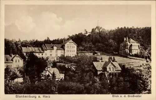 Ak Blankenburg am Harz, Blick auf den Großvater