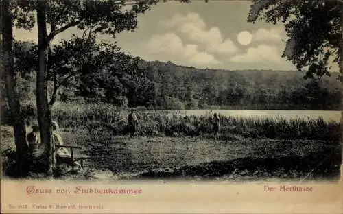 Mondschein Ak Stubbenkammer Sassnitz auf Rügen, Der Herthasee