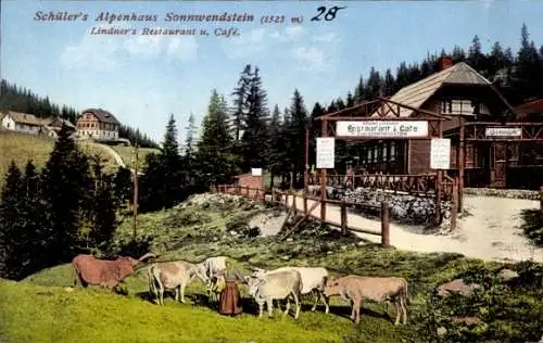 Ak Schottwien in Niederösterreich, Schüler's Alpenhaus Sonnwendstein, Restaurant, Cafe