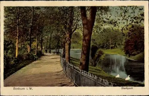 Ak Bochum im Ruhrgebiet, Stadtpark, Schwäne