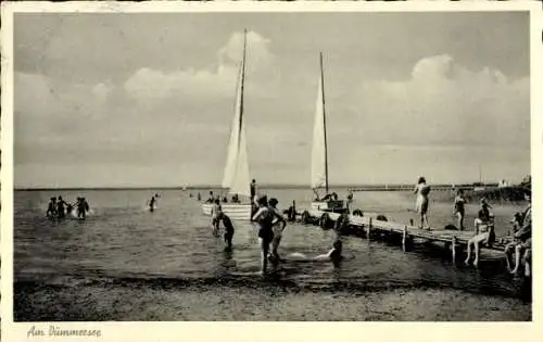 Ak Lembruch in Niedersachsen, Am Dümmersee, Strand, Bootssteg und Badegäste