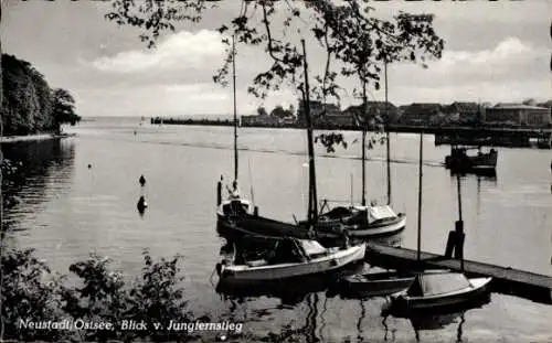 Ak Ostseebad Pelzerhaken Neustadt in Holstein, Blick vom Jungfernstieg, Boote