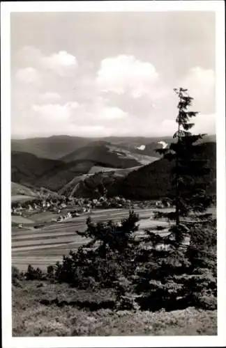 Ak Willingen im Upland Waldeck Hessen, Panorama