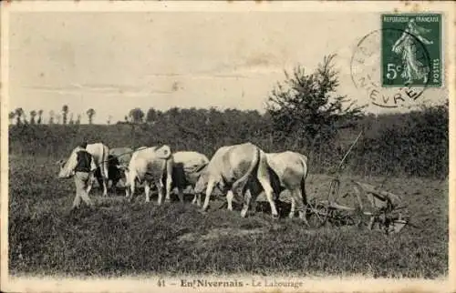 Ak in Nivernais, Pflügen