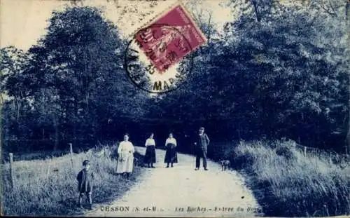 Ak Cesson Seine et Marne, Les Roches, Entree du