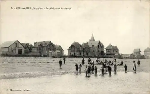 Ak Ver sur Mer Calvados, la peche aux Crevettes