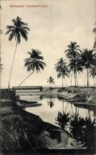 Ak Colombo Ceylon Sri Lanka, Wellewatte, Wasserpartie, Brücke, Palmen