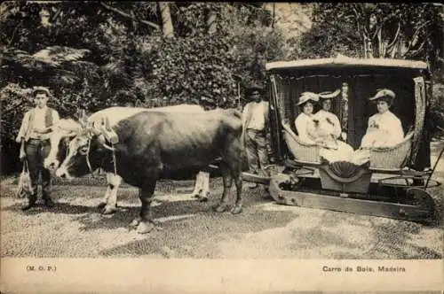 Ak Insel Madeira Portugal, Carro de Bois