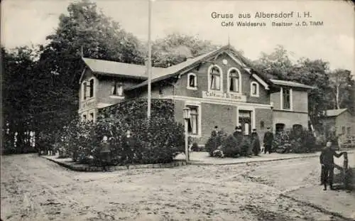 Ak Albersdorf in Holstein Dithmarschen, Cafe Waldesruh