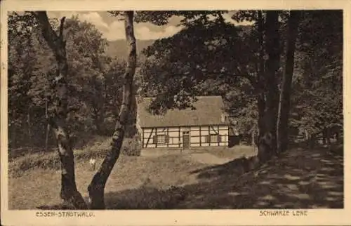 Ak Essen im Ruhrgebiet, Stadtwald, Schwarze Lene