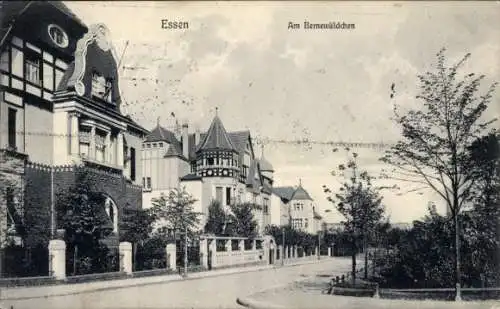 Ak Essen im Ruhrgebiet, Bernewäldchen