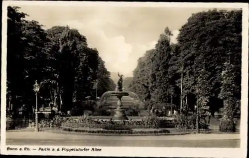 Ak Bonn am Rhein, Poppelsdorfer Allee, Teilansicht, Brunnen