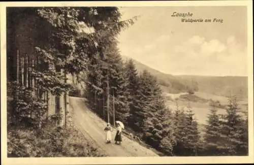 Ak Bad Laasphe in Westfalen, Am Fang, Wald, Panorama