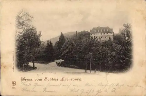 Ak Steinbergen Rinteln in Niedersachsen, Schloss Arensburg