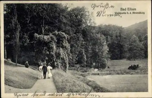 Ak Bad Eilsen im Kreis Schaumburg, Wald bei der Arensburg