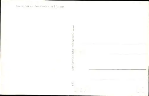 Ak Husum in Nordfriesland, Sturmflut am Seedeich