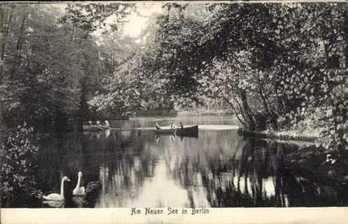 Ak Berlin Tiergarten, Neuer See, Boote, Schwäne