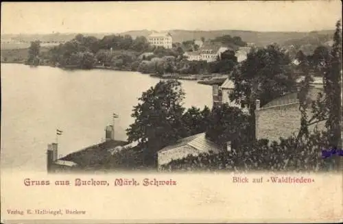 Ak Buckow in der Märkischen Schweiz, Waldfrieden, Gesamtansicht