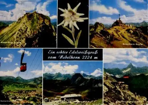 Material Ak Nebelhorn, Gipfel, Seilbahn, Gipfelhaus, Edelweiß