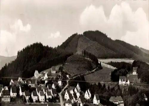 Ak Meschede im Sauerland, Teilansicht, Hardtkopf, Blindenheim