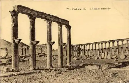 Ak Palmyra Syrien, Colonnes cannelees, antike Stätte, Säulen