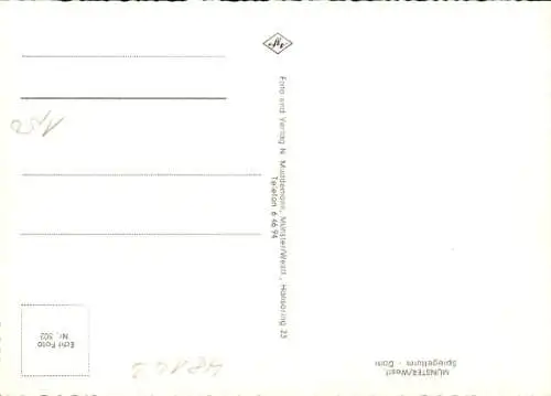 Ak Münster in Westfalen, Spiegelturm, Dom