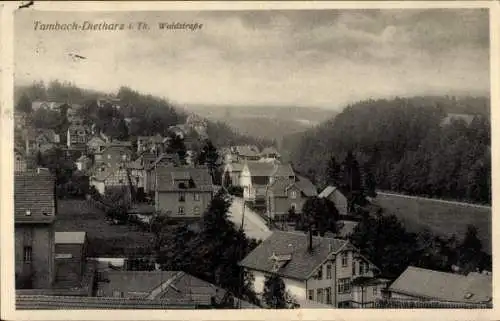 Ak Tambach Dietharz in Thüringen, Teilansicht, Waldstraße