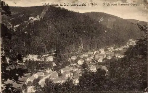 Ak Stutzhaus Luisenthal im Thüringer Wald, Totalansicht, Blick vom Hammerberg