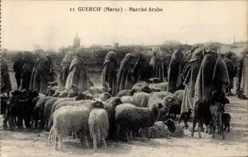 Ak Guercif Marokko, arabischer Markt, Schafe