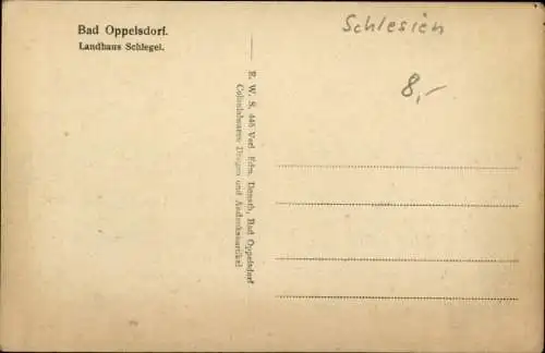 Ak Opolno Zdrój Bad Oppelsdorf Bogatynia Reichenau Schlesien, Landhaus Schlegel