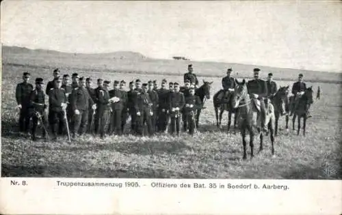 Ak Aarberg Kanton Bern, Truppenzusammenzug 1905, Offiziere des Bat. 35 in Seedorf