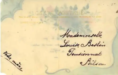 Zelluloid Ak Heckenrosenblüten