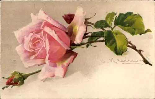 Künstler Ak Klein, Catharina, Blumen, Rosenblüte, rosa, Knospe