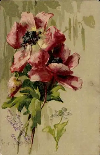 Litho Rote Blumen, Knospe