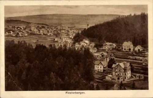 Ak Finsterbergen Friedrichroda Thüringen, Panorama, Wald