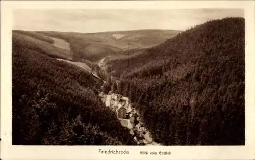 Ak Friedrichroda im Thüringer Wald, Teilansicht, Panorama, Blick vom Gottlob