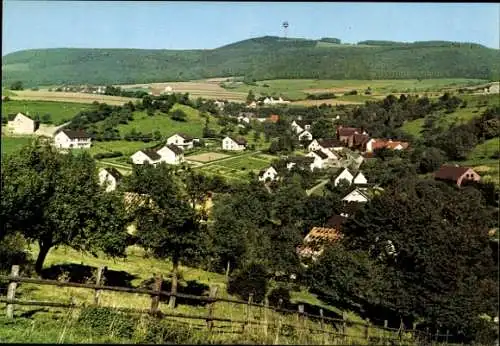 Ak Bödexen Höxter im Weserbergland, Gesamtansicht