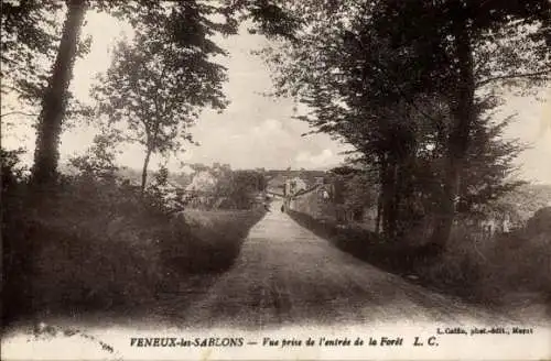 Ak Veneux les Sablons Seine et Marne, Vue prise de l'entree de la Foret