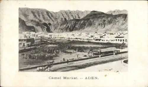 Ak Aden Jemen, Kamelmarkt