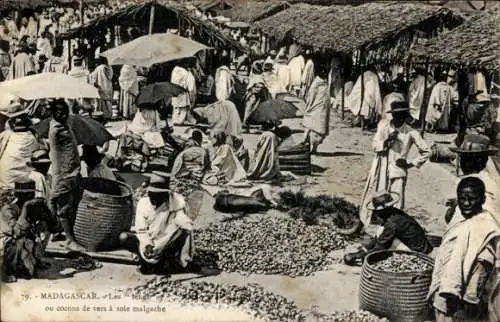 Ak Madagaskar, Les lendi ou cocons de vers à soue malgache, Seidenraupenzucht, Silkworm