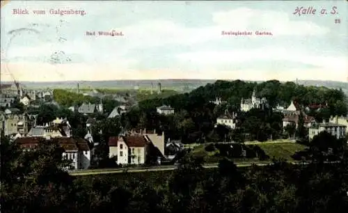 Ak Halle an der Saale, Panorama, Galgenberg, Bad Wittekind, Zoologischer Garten